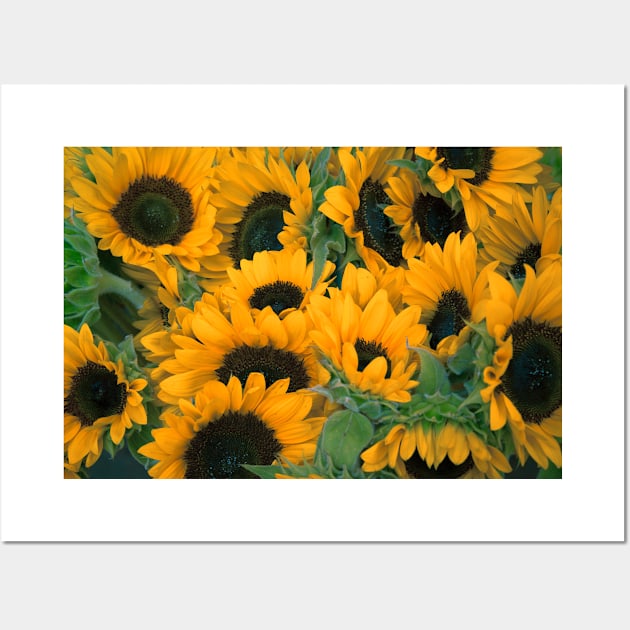 Blooming Sunflowers Wall Art by NewburyBoutique